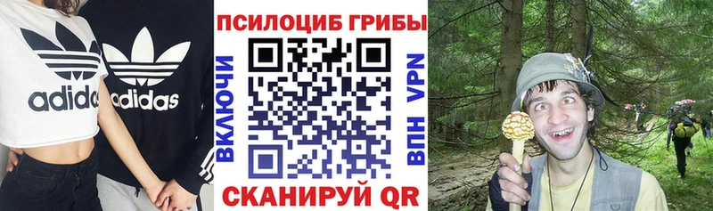 Псилоцибиновые грибы Magic Shrooms  Кяхта 