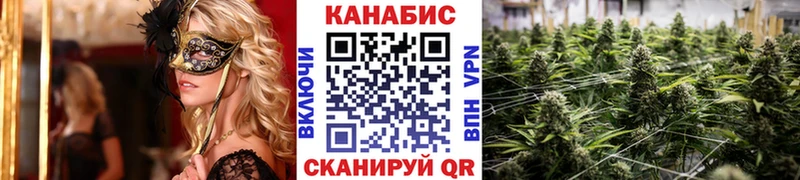 Канабис сатива  Кяхта 